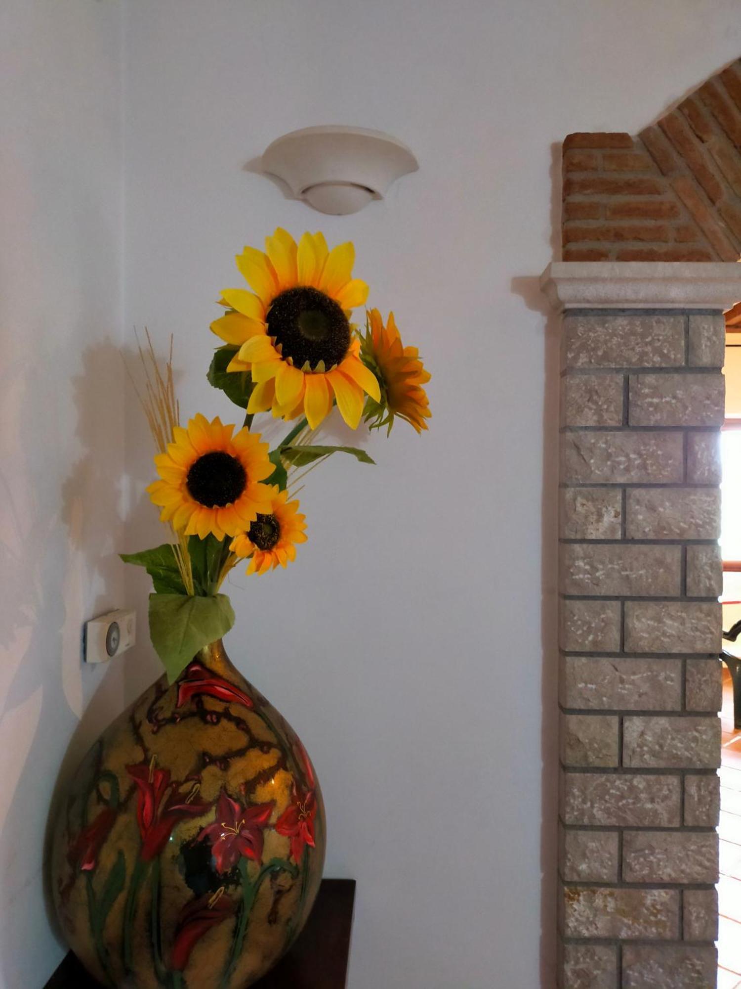 Al Boschetto Bed & Breakfast Melizzano ภายนอก รูปภาพ