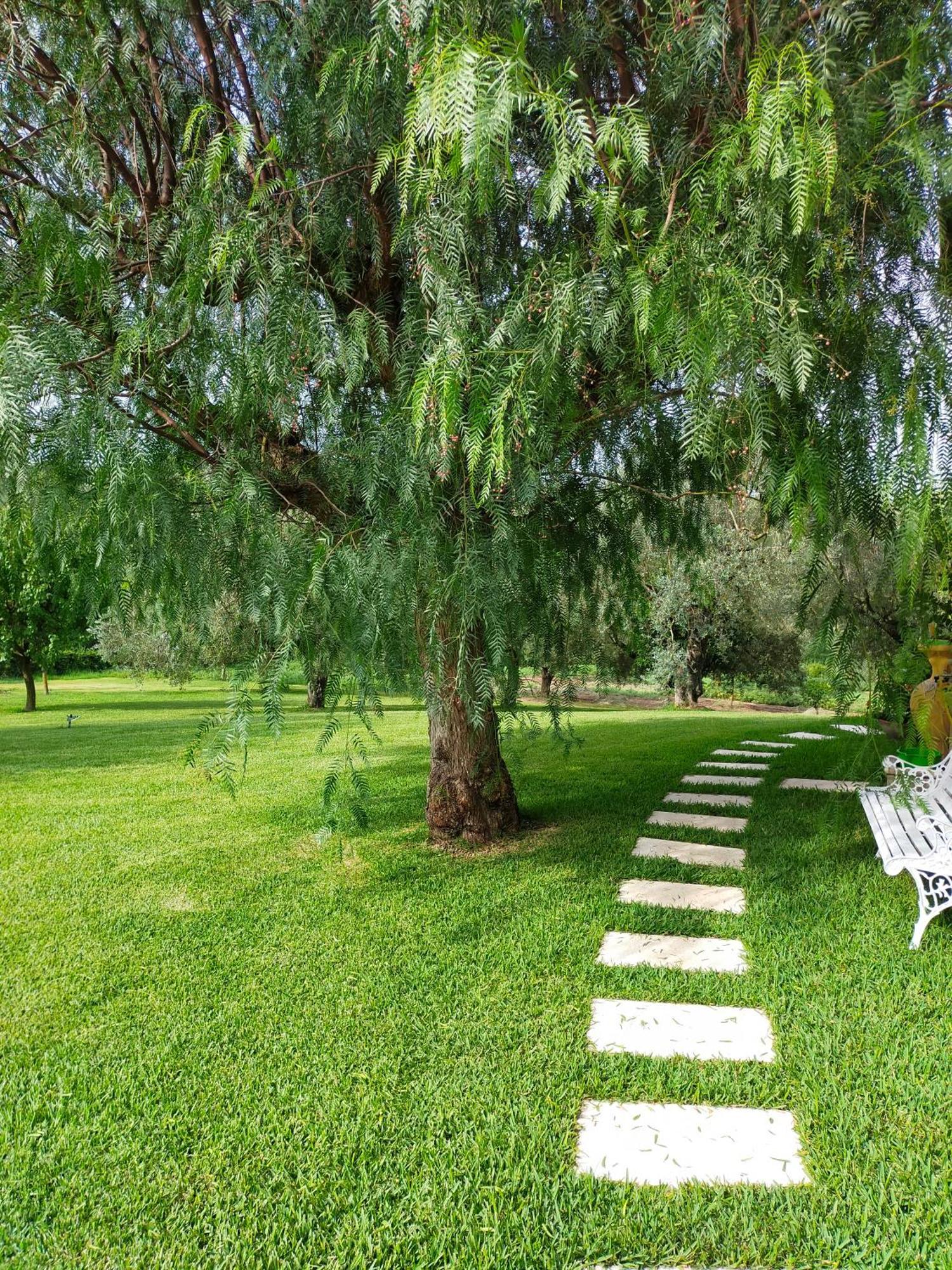 Al Boschetto Bed & Breakfast Melizzano ภายนอก รูปภาพ