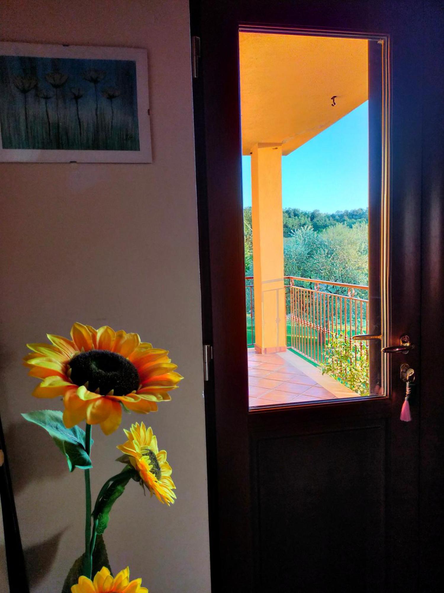 Al Boschetto Bed & Breakfast Melizzano ภายนอก รูปภาพ
